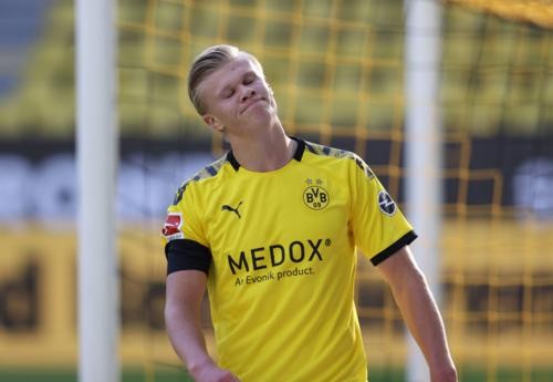 早已拥有庞 早已拥有庞