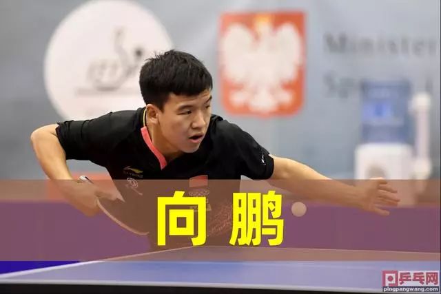 为全队建立 为全队建立